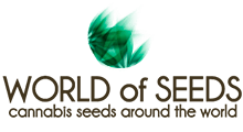 World Of Seeds семена конопли