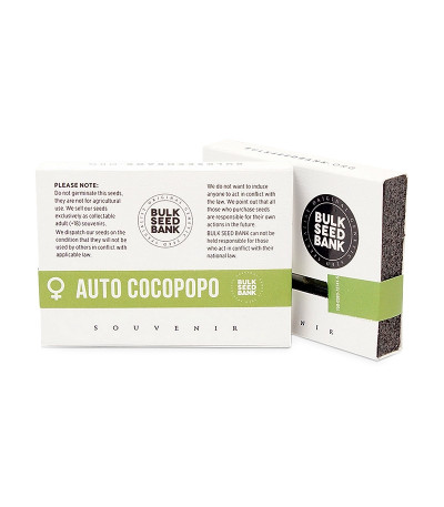 Сорт Auto Cocopopo fem