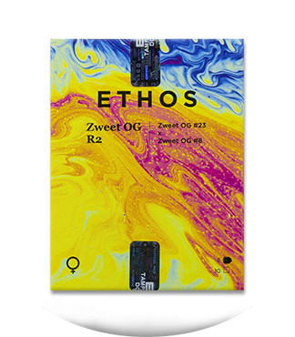 Zweet OG R2 fem (Ethos Genetics)